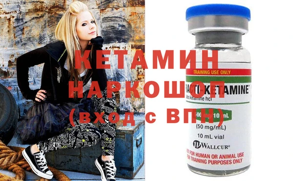 крисы Баксан