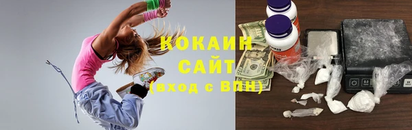 крисы Баксан