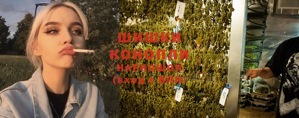 крисы Баксан