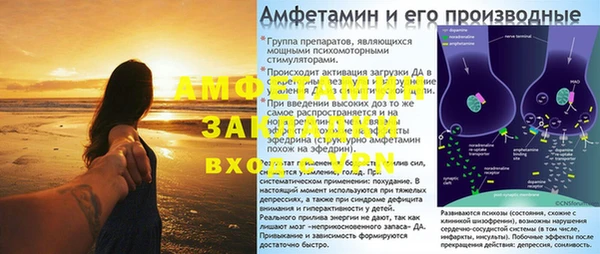 крисы Баксан
