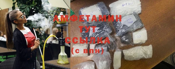 крисы Баксан