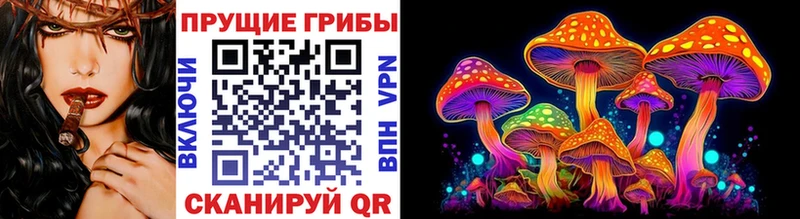 Псилоцибиновые грибы GOLDEN TEACHER  закладки  Кыштым 